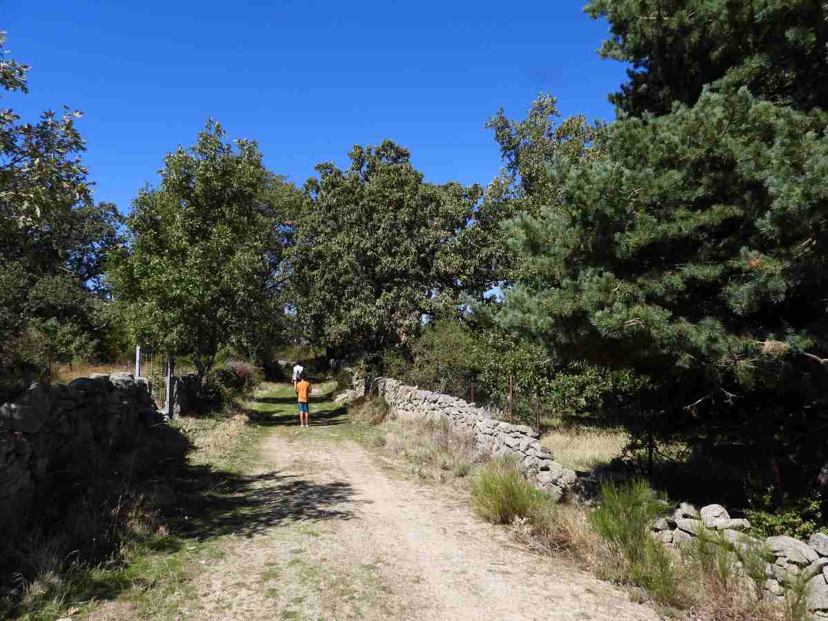 cerro_gorria_4