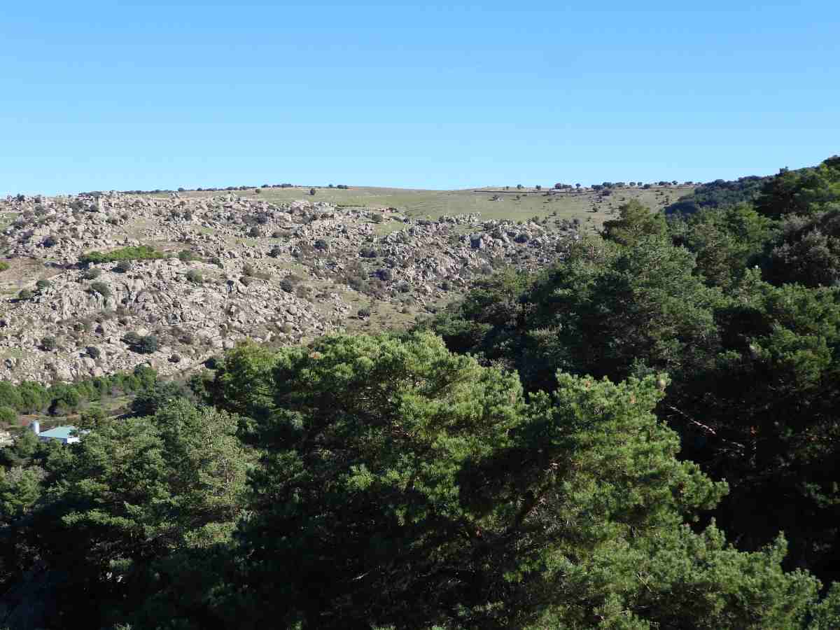 eras_del_segoviano_4