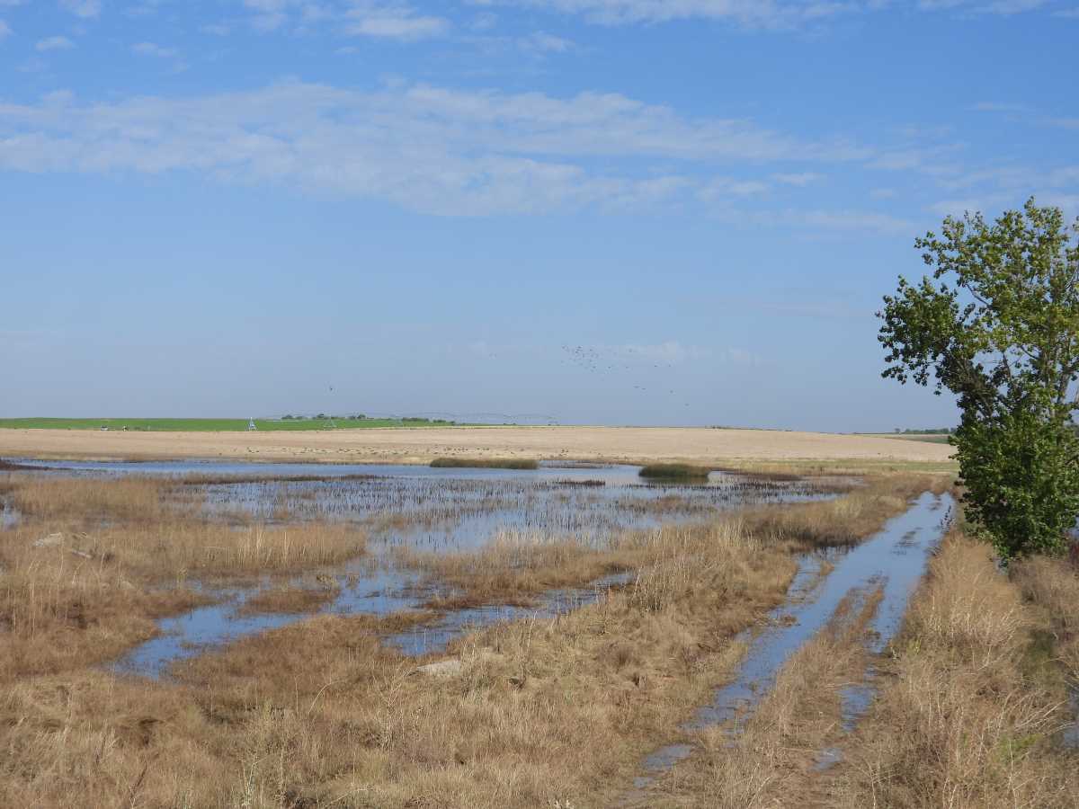 laguna_regajal_lavajos 2_3.2