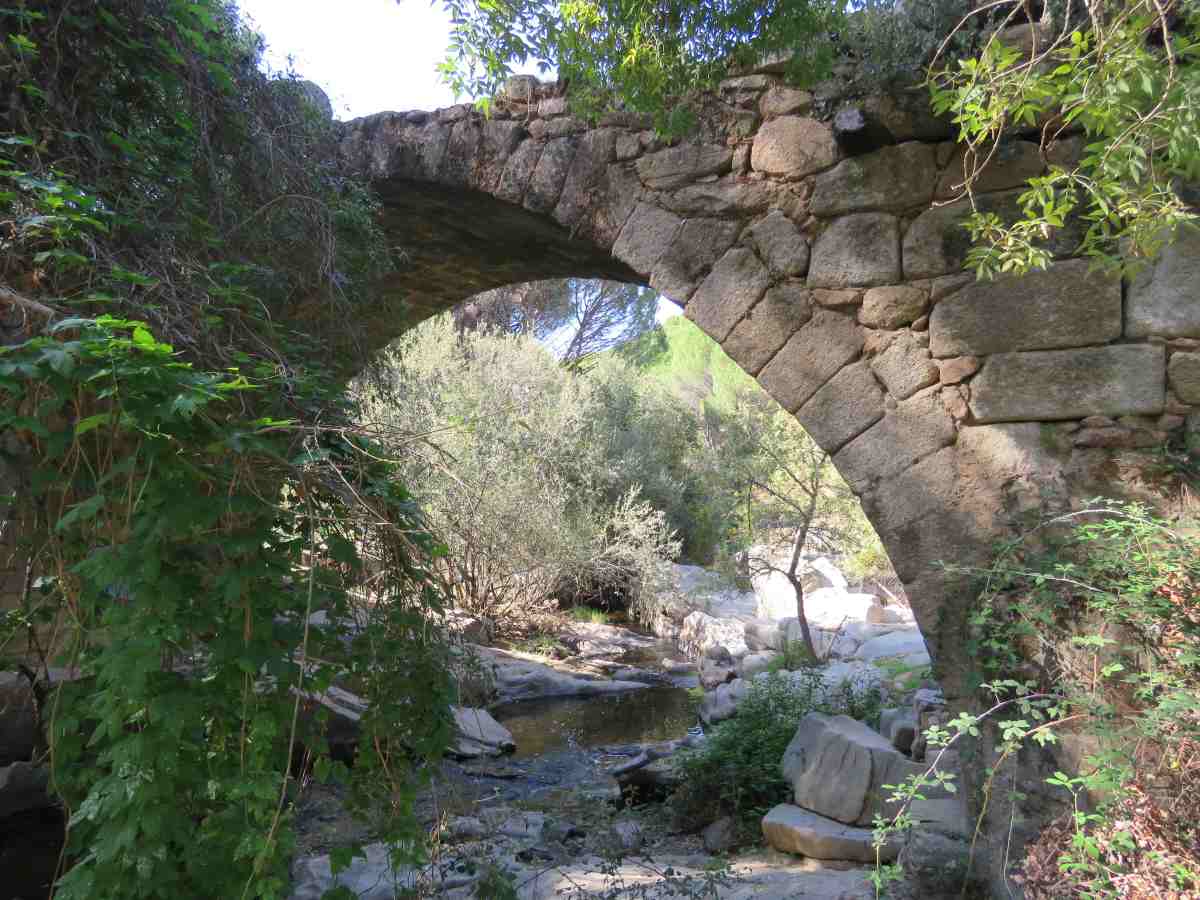 puente_mocha_2