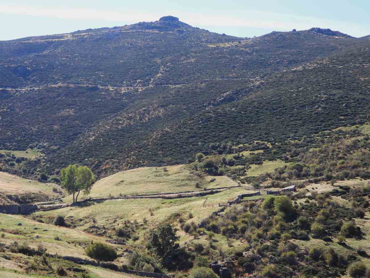 puerto_peñanegra_2
