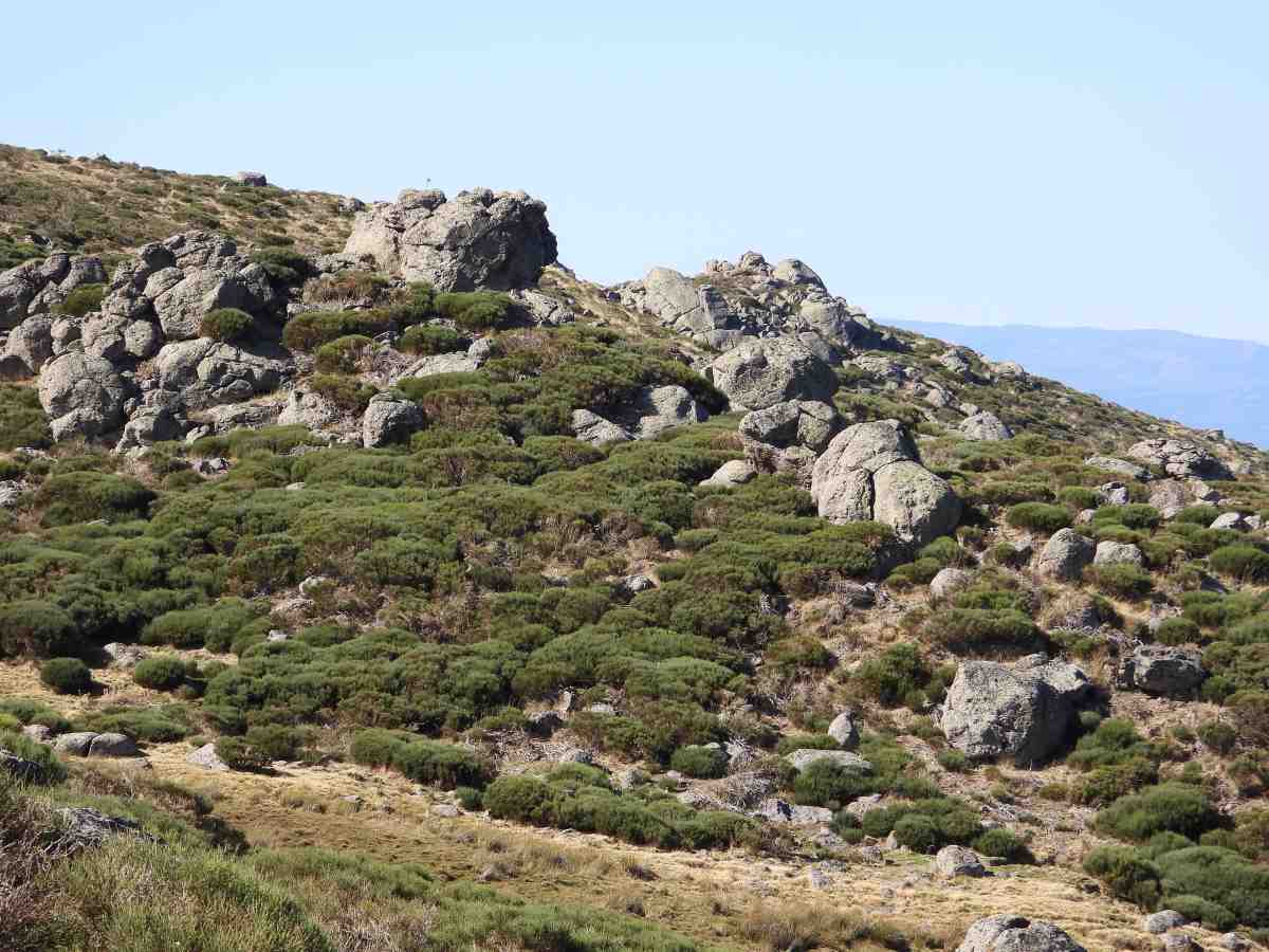 puerto_peñanegra_4