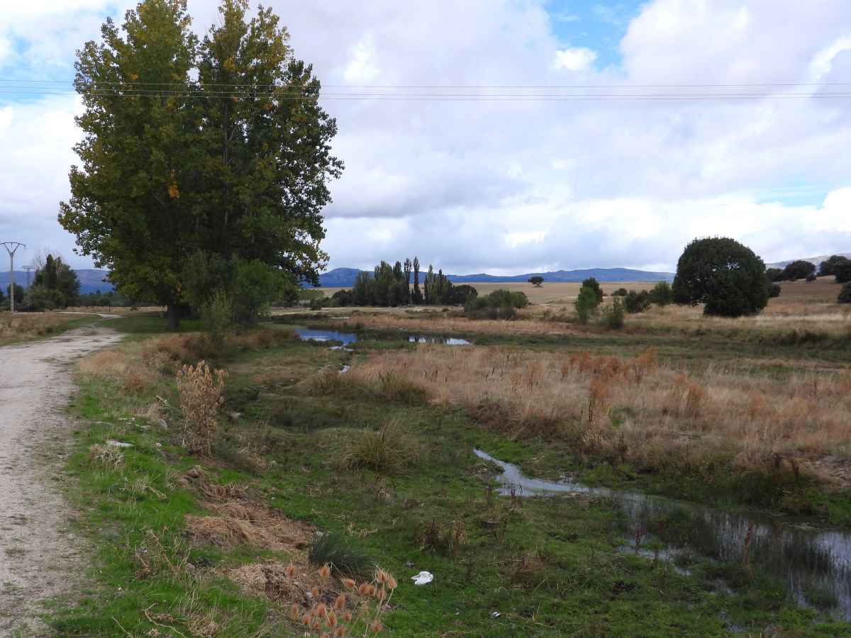 ribera_del_adaja_1