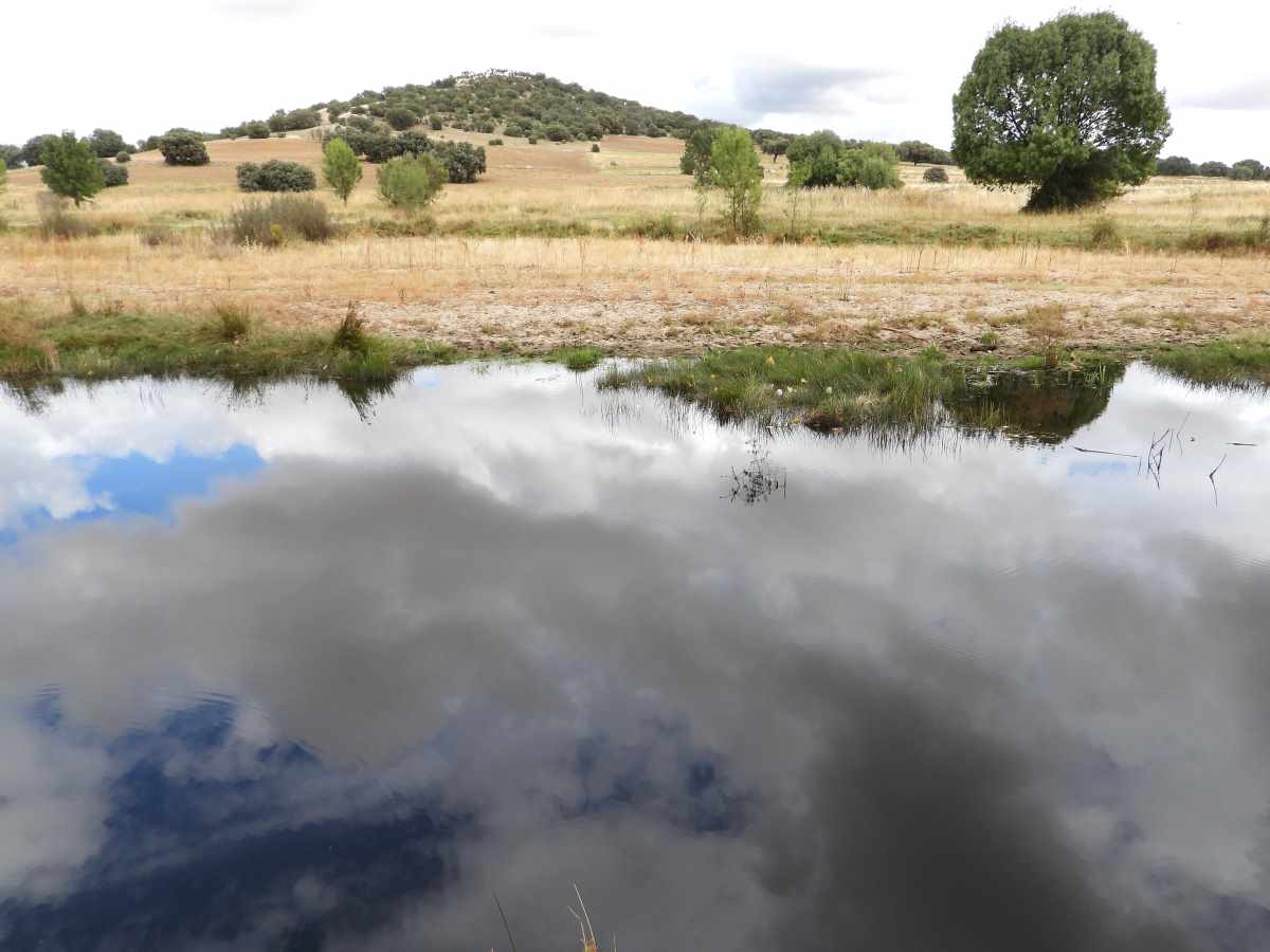 ribera_del_adaja_2