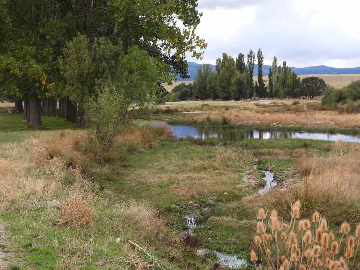 ribera_del_adaja_4