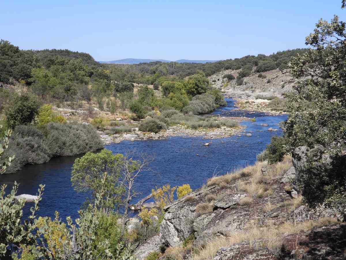 Pio 7 | Ribera del Tormes